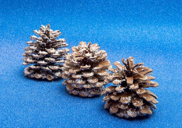 Decoração de um cone de pinheiro — Fotografia de Stock