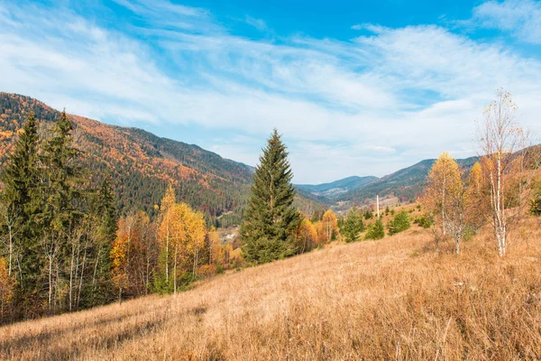 Paisaje de otoño Cárpatos — Foto de Stock