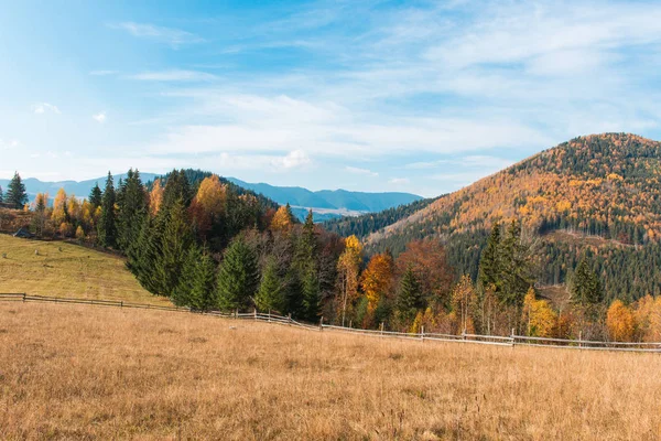 Paisaje de otoño Cárpatos — Foto de Stock