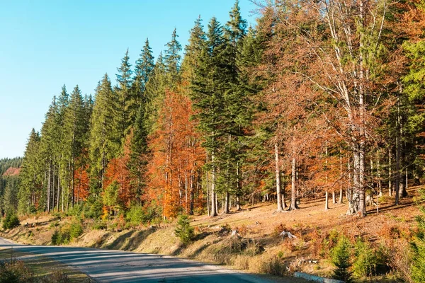 Krajobraz jesieni Karpat — Zdjęcie stockowe