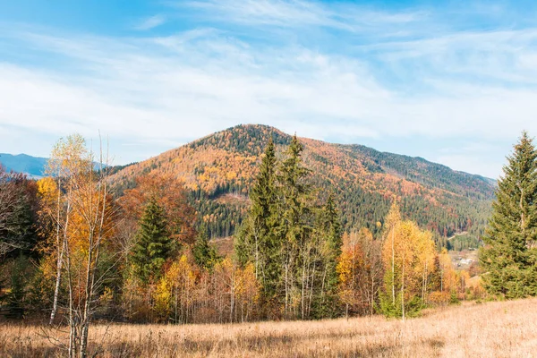 Landscape of autumn Carpathians — Stock Photo, Image