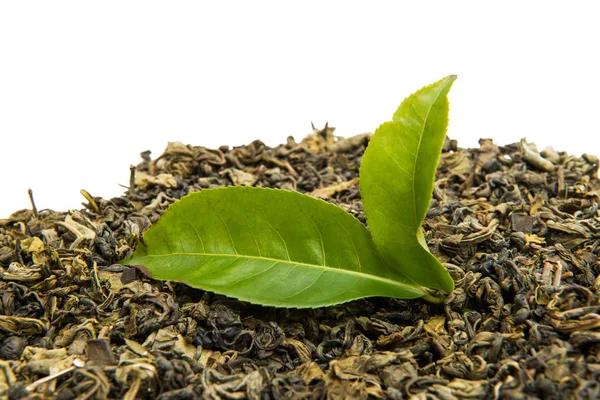 Zöld tea elszigetelt — Stock Fotó