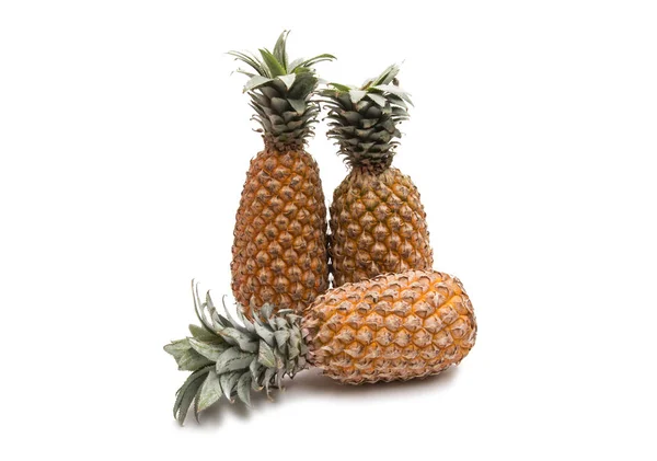 Ananas vruchten geïsoleerd — Stockfoto