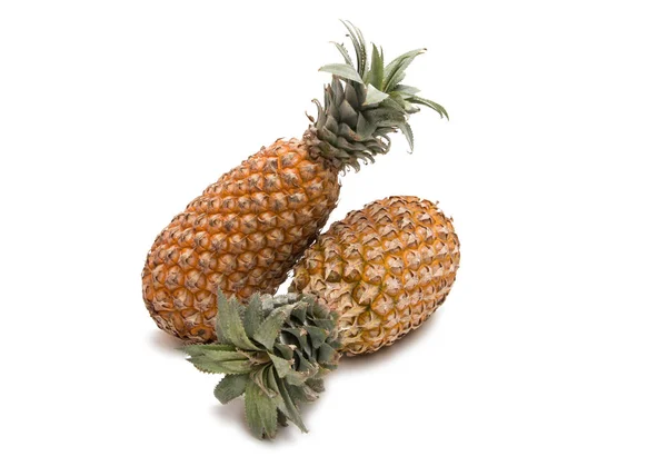 Ananász gyümölcs elszigetelt — Stock Fotó