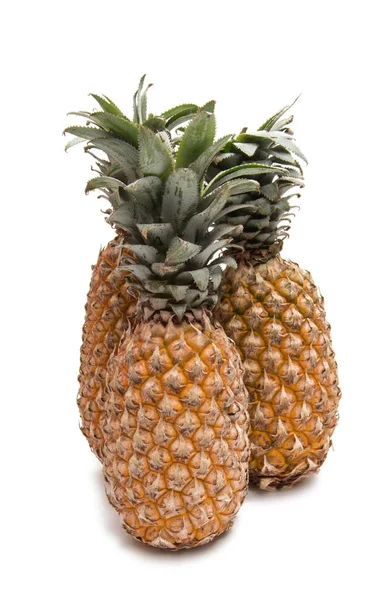 Ananas vruchten geïsoleerd — Stockfoto