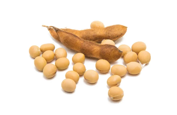 Dry soy beans isolated — Stock Photo, Image