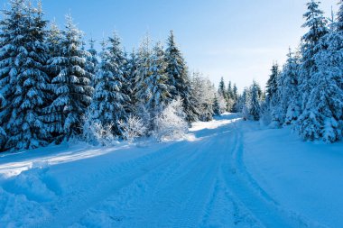 güneşli bir günde güzel kış manzarası