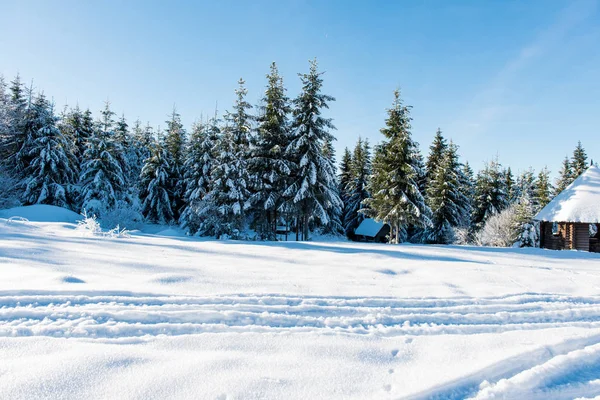 Mooie winterlandschap op een zonnige dag — Stockfoto
