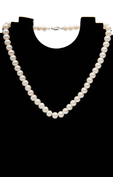 Pearl necklace isolated — Stock Photo, Image