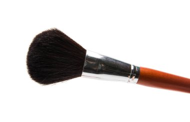 makyaj fırçaları izole 