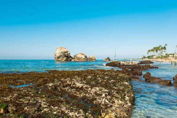 Paisagem da costa do Oceano Índico no Sri Lanka — Fotografia de Stock