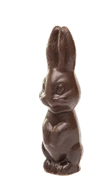 Шоколадный пасхальный кролик — стоковое фото