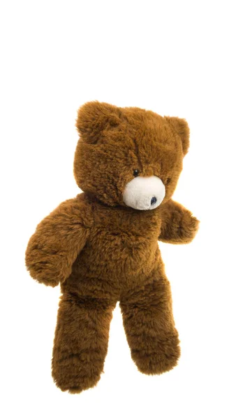 Urso brinquedo macio isolado — Fotografia de Stock