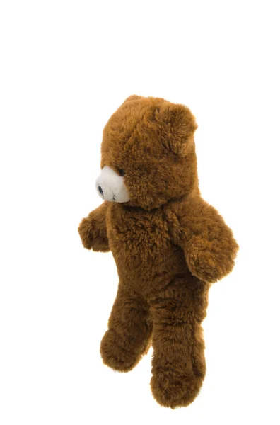 Urso brinquedo macio isolado — Fotografia de Stock