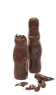 çikolata bunny izole 