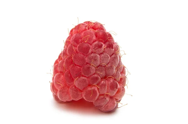 Fresh raspberries isolated — Stock Photo, Image