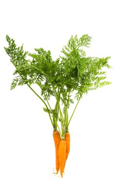 havuç izole yaprakları ile 