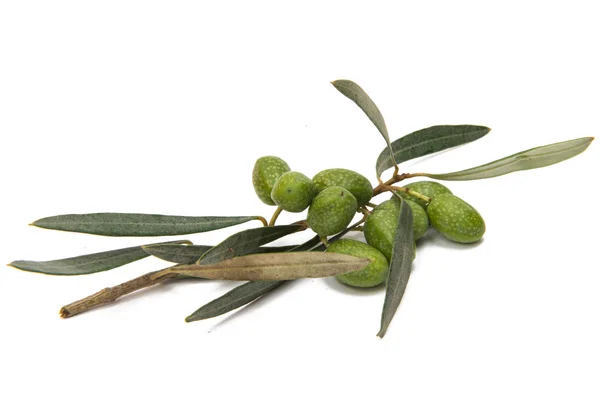 Olives vertes aux feuilles — Photo