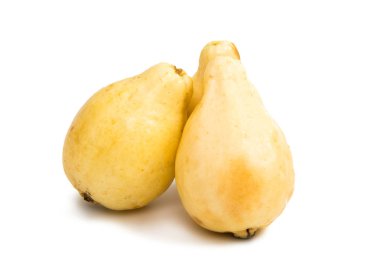 meyve izole Guava 