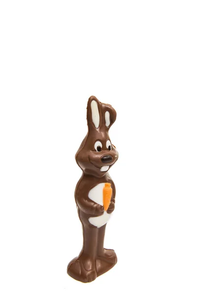 Chocolade bunny geïsoleerd — Stockfoto