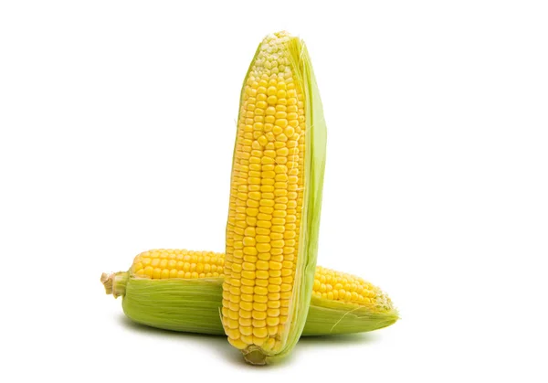 Hoofd van maïs geïsoleerd — Stockfoto