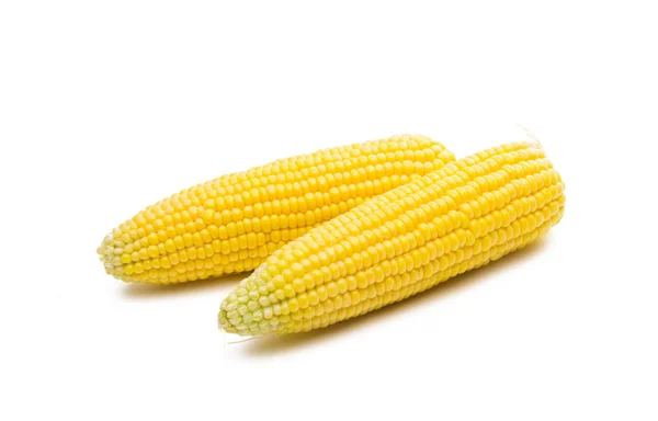 A kukorica elszigetelt vezetője — Stock Fotó