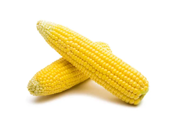 Cabeza de maíz aislada —  Fotos de Stock