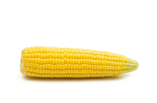 A kukorica elszigetelt vezetője — Stock Fotó