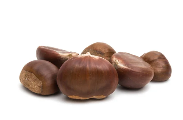 Chestnut edible isolated — Stock Photo, Image