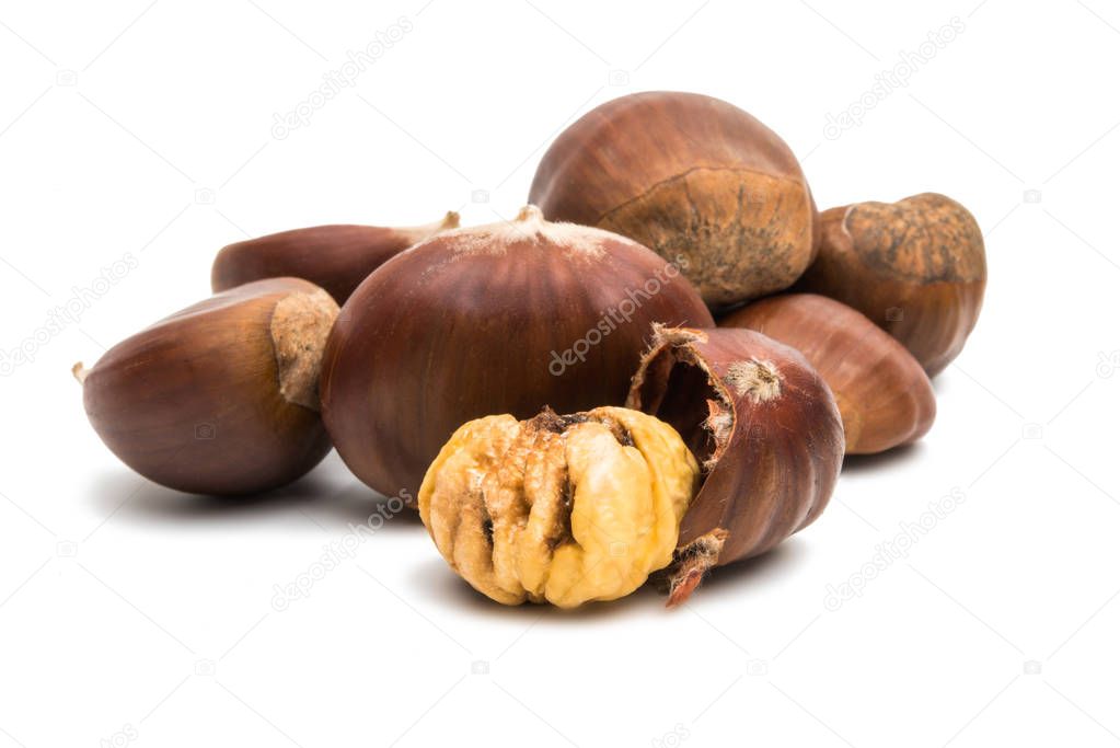 chestnut edible isolated