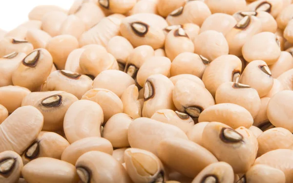 Kidney beans black eye closeup with copy space on white backgrou — Stock Photo, Image