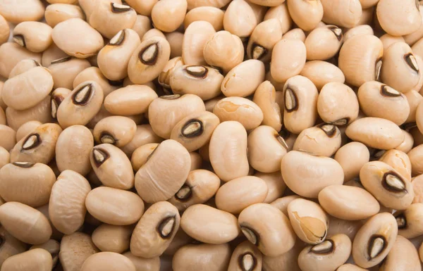 Kidney beans black eye closeup with copy space on white backgrou — Stock Photo, Image