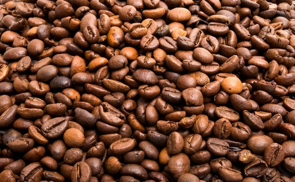 Primer plano granos de café — Foto de Stock