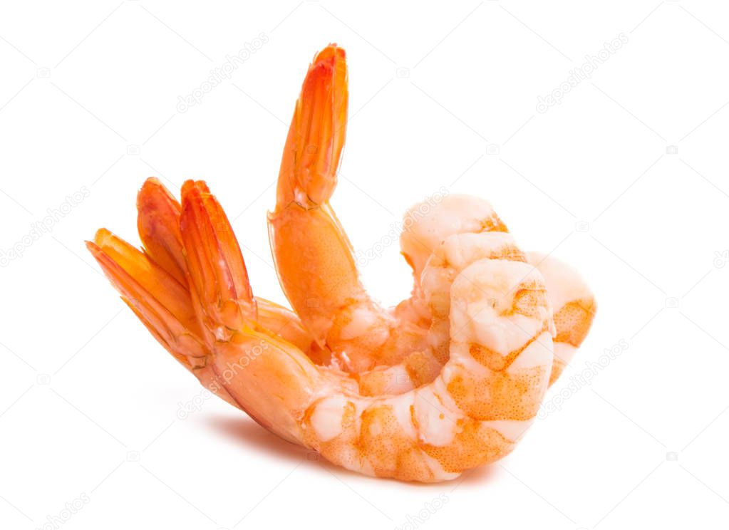 boiled shrimp isolated 