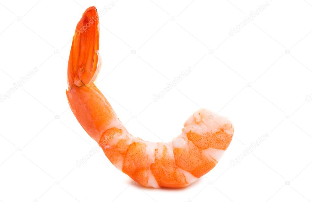 boiled shrimp isolated 