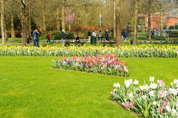 Wiosnę krajobraz kwiaty w parku Keukenhof — Zdjęcie stockowe