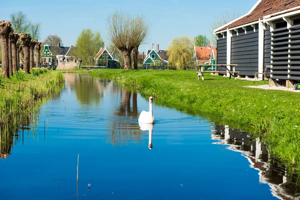 Nederländska våren landskap i byn — Stockfoto