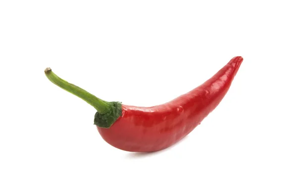 Κόκκινο πιπέρι τσίλι απομονωθεί — Φωτογραφία Αρχείου