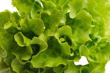 Marul yaprakları beyaz arkaplanda yalıtılmış