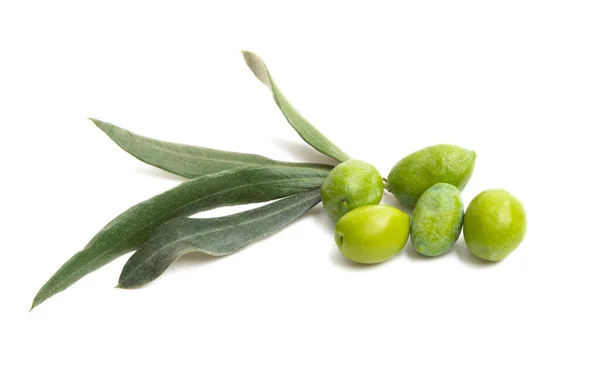 Gröna oliver isolerade — Stockfoto