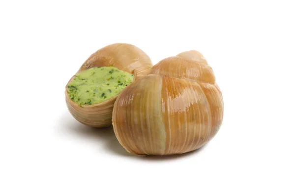 Stuffed snails isolated — Stock Photo, Image