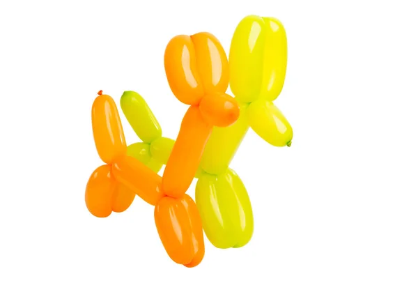 Dogs from balloons isolated — Stock Photo, Image