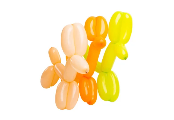 Dogs from balloons isolated — Stock Photo, Image