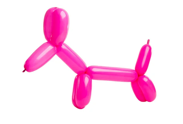 Dogs from balloons isolated — Stock Photo, Image