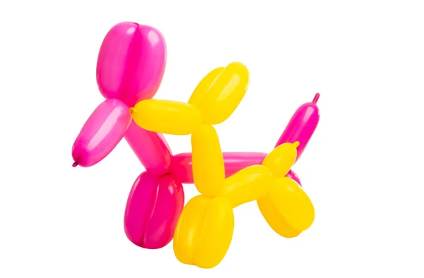 Dogs from balloons isolated — Stock Photo, Image