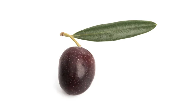 Black olives isolated — Stockfoto