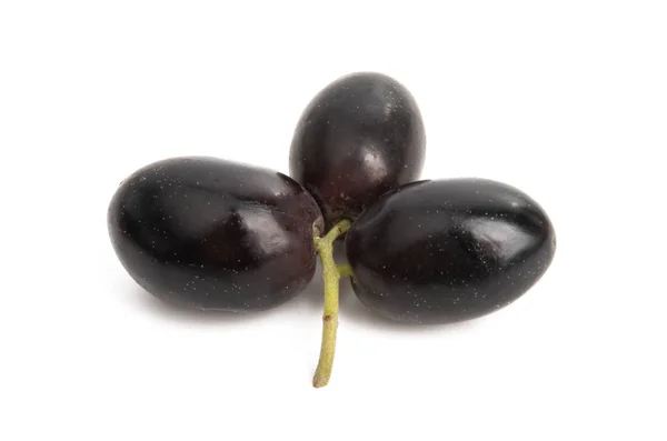 Black olives isolated — Stockfoto