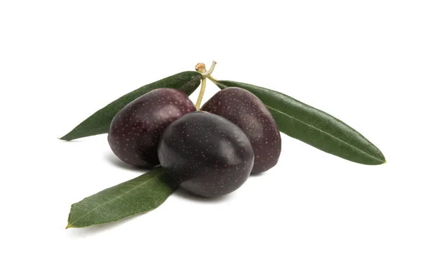 Black olives isolated — Stock Photo, Image