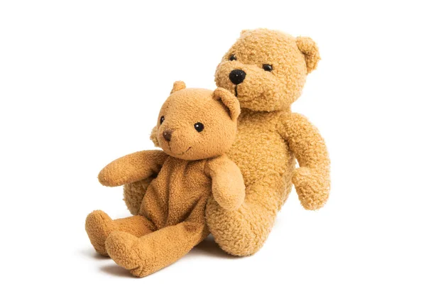 soft bear toy isolated