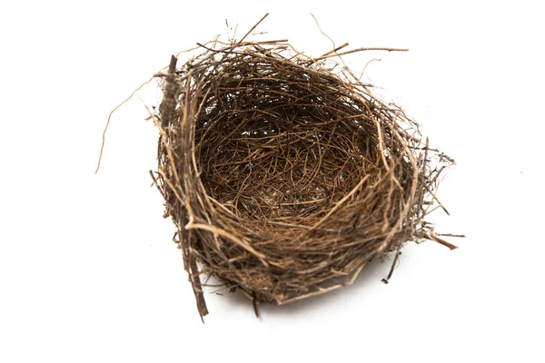 Vogel nest geïsoleerd — Stockfoto